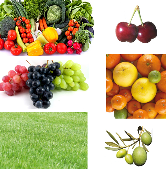 gruppo frutta