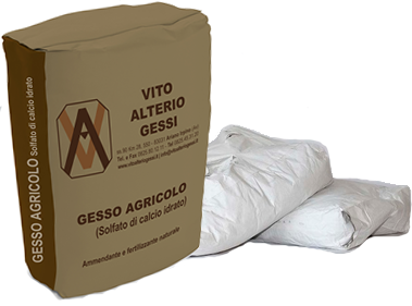 SACCO GESSO