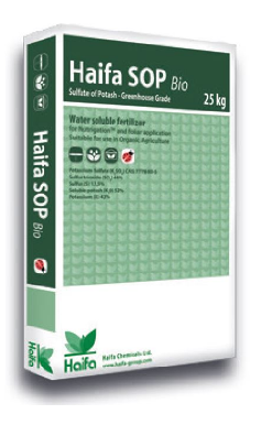 haifa sop bio