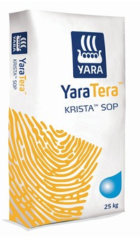yara tera krista sop