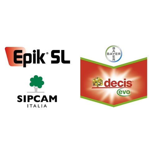 DECIS EPIK