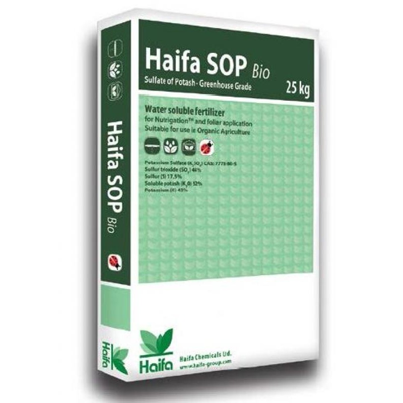 haifa sop bio