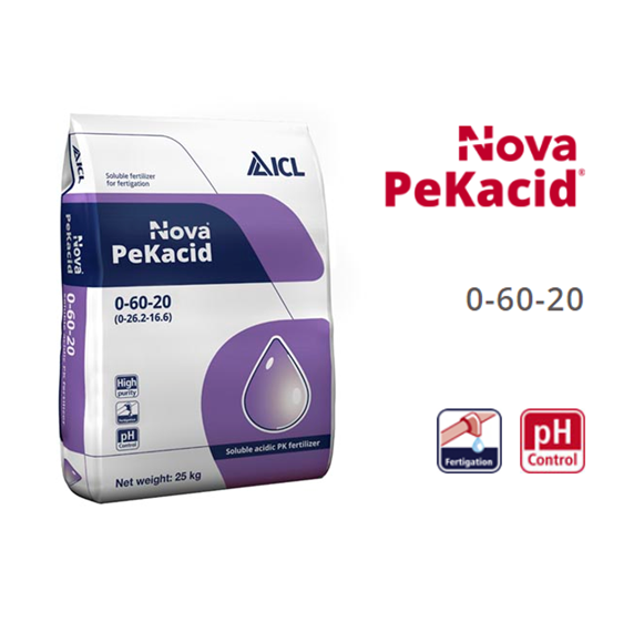 pekacid completo