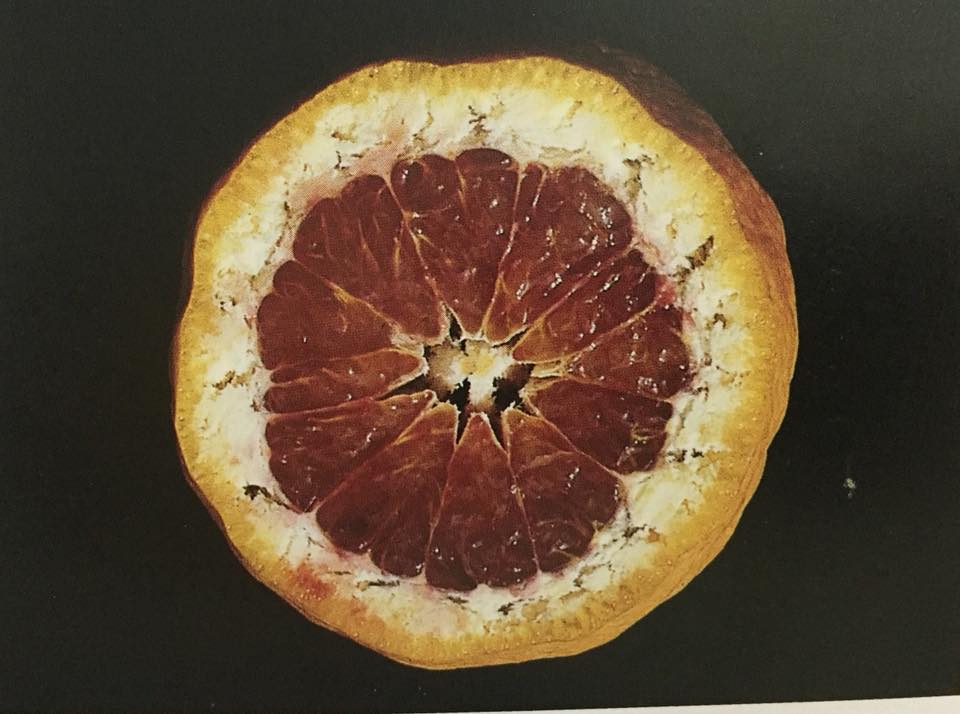 frutto con spigatura3