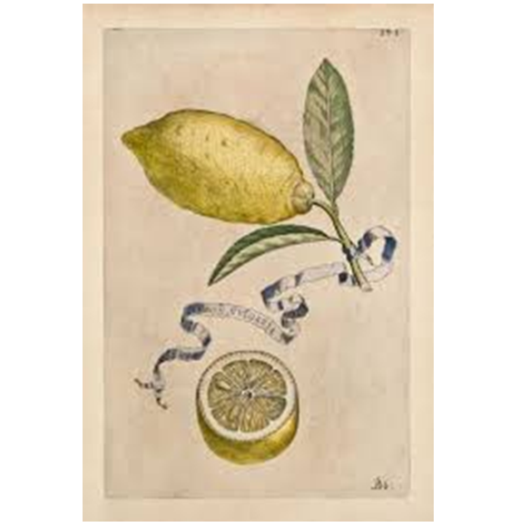 LIMONE QUADRATO