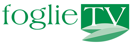 foglie